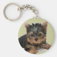 Yorkie Welpe Schlüsselband