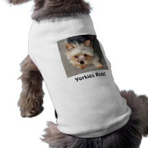 Yorkie, Yorkies Regel! Hundbekleidung