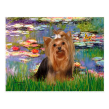 Yorkshire Terrier 7 - Lilien 2 Postkarten