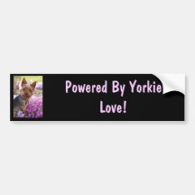 Yorkshire Terrier Autoaufkleber