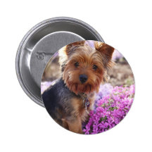Yorkshire Terrier Buttons