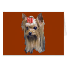 Yorkshire Terrier Grußkarten