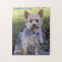 Yorkshire Terrier Jigsaw Puzzles