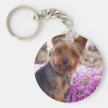 Yorkshire Terrier Schlüsselbänder