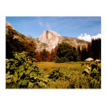 Yosemite Nationalpark Kalifornien-Postkarte