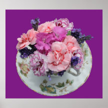 Zackt Gartennelken im Teacup aus Posterdruck