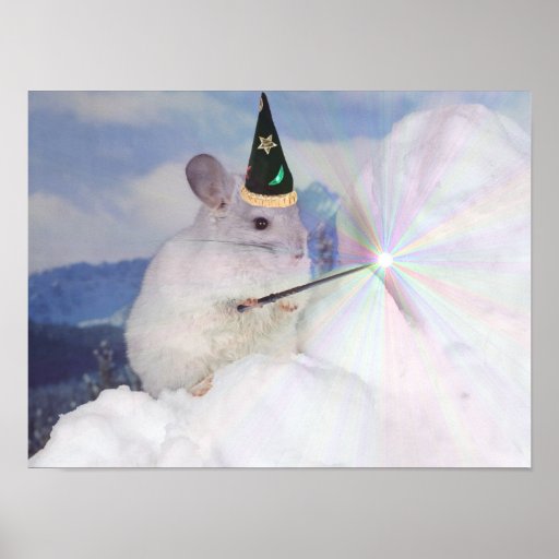 ZAUBERER-Chinchilla-Plakat des Niveau-33 Kaiser