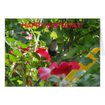 Zaunkönig u. Rosen, Geburtstag Grußkarte