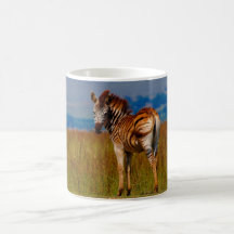 Zebra auf dem Berg Kaffeehaferl