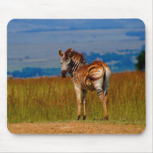 Zebra auf dem Berg Mousepads