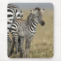Zebra baby mousepads