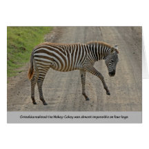 Zebra Hokey-cokey Karte