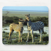 Zebra-Küssen Mauspad