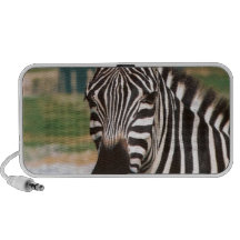 ZEBRA MINI SPEAKER