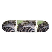 Zebra-Skateboard Skate Board