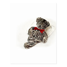 Zebra Teddy Postkarte