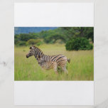 Zebrababy und -mamma vollfarbige flyer
