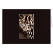 Zebrasafari-Grußkarten