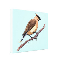 Zeder Waxwing-Vogel-Leinwanddruck