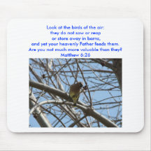 ZederWaxwing, Matthew-6:26 Mousepad