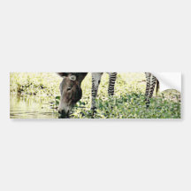 "Zedonk " Auto Sticker
