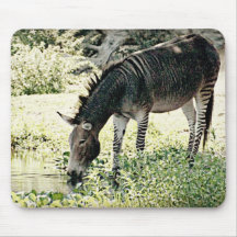 "Zedonk " Mauspad