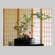Zen-Blumenanordnung postkarten