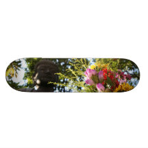 Zenboarding Personalisiertes Skatedeck