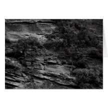 Zion B&W Grußkarten