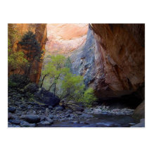 Zion Engen Postkarte
