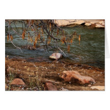 Zion Fluss Grußkarten