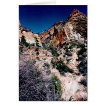 Zion Nationalpark 2 Karte