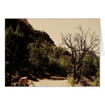 zion Nationalpark Karten