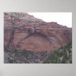 Zion Nationalpark Plakat