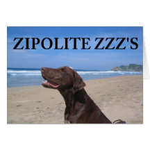 ZIPOLITE ZZZ GRUßKARTE
