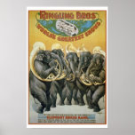 Zirkus-Elefant-Blaskapelle Plakate