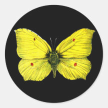 Zitronenfalter Sticker