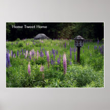 Zuhause tweeten Zuhause-Plakat
