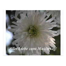 Zum Muttertag Post Card
