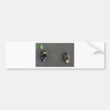 Zwei Baby-Stockenten u. ein grünes Blatt Auto Sticker