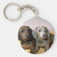 Zwei Dackelwelpen Schlüsselband
