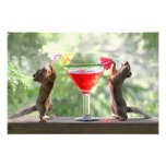Zwei Eichhörnchen, die ein Cocktail trinken Photographie