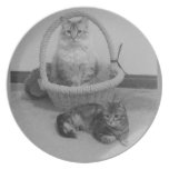 zwei Katzen schwärzen n-Weißplatte Flacher Teller