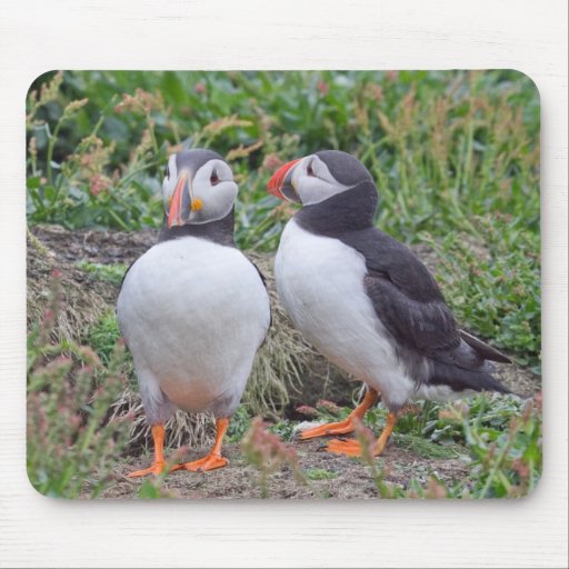 Zwei Papageientaucher von Skomer Insel Mousepads