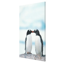 Zwei Pinguine, die Schnäbel berühren Galerie Gefaltete Leinwand