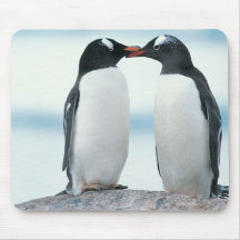 Zwei Pinguine, die Schnäbel berühren Mauspad