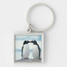 Zwei Pinguine, die Schnäbel berühren Schlüsselband