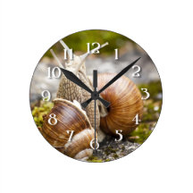 Zwei Schnecken Uhr