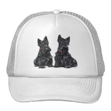 Zwei schwarze schottische Terrier Kultcaps