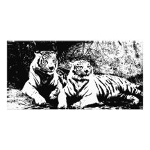 Zwei Tiger in Schwarzweiss Bildkarte